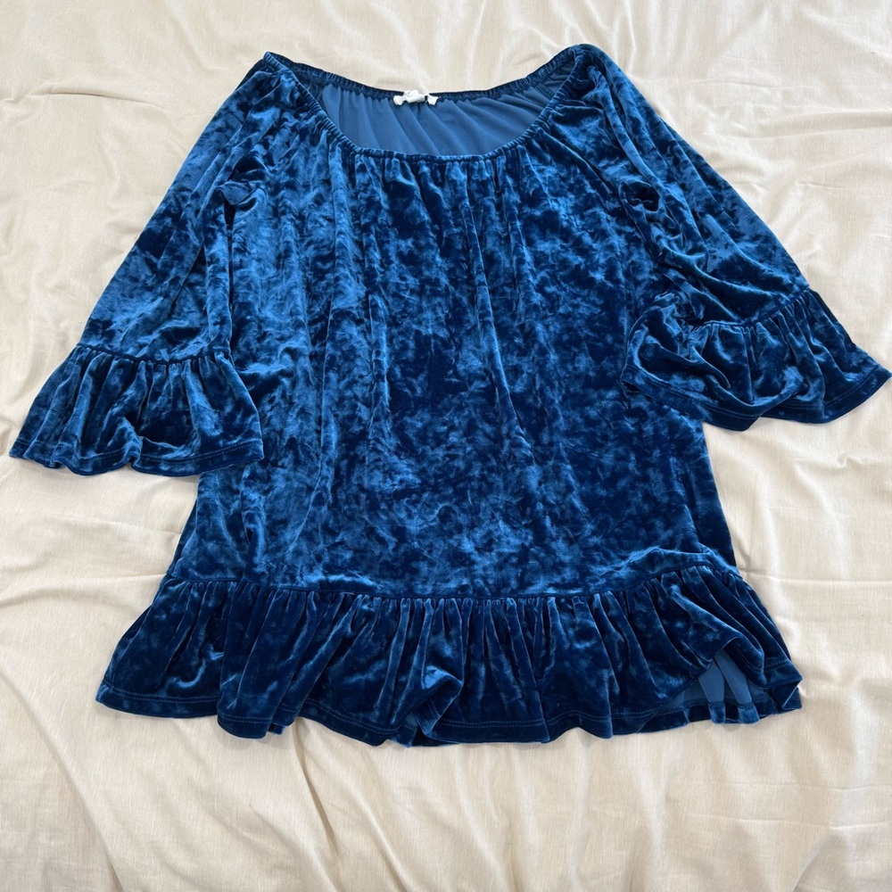 Beach Lunch Lounge Velvet Ruffle Sleeve Top Blue Size Small